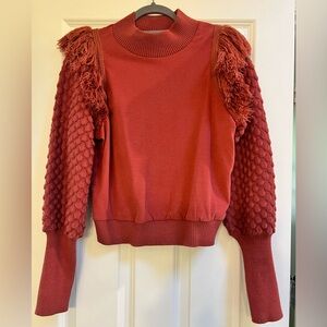 Dolan (Anthropologie) sweater. Size Medium. Rust color.